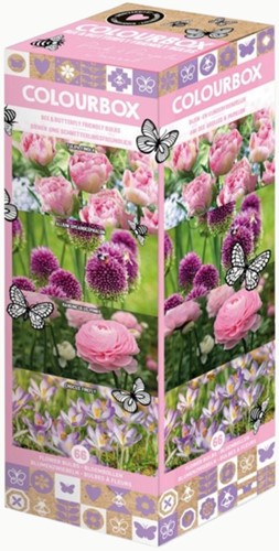 Colourbox Roze en Paars – Bloembollen mix