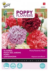 Papaver pioenbloemig gemengd - Poppy Flowers