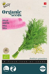 Biologische zaden Dille