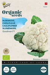Bloemkool Goodman F1 BIO - Brassica oleracea