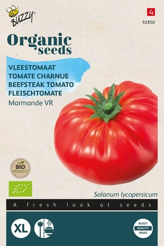 Bio Tomaat Marmande - Solanum lycopersicum