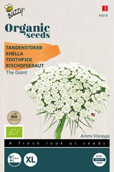 Bio Tandenstoter The Giant - Ammi Visnaga