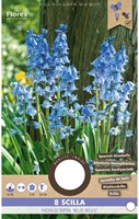 Spaanse boshyacinth Blue Bells - Scilla-2