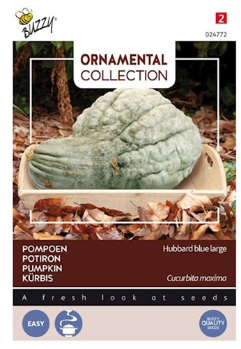Pompoen Hubbard Large Blue - Ornamental Collection