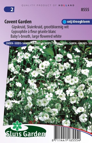 Gipskruid Covent Garden - Gypsophila