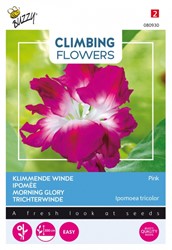 Klimmende Winde Pink - Climbing Flowers