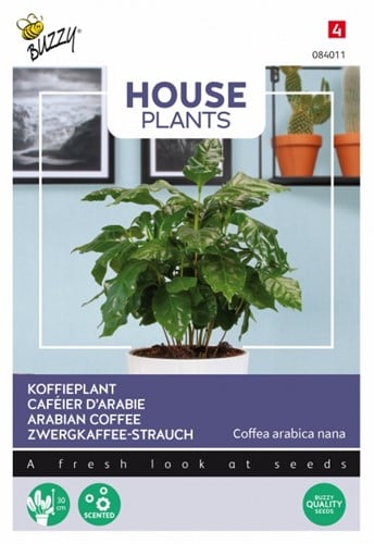 Koffieplant - Buzzy House Plants