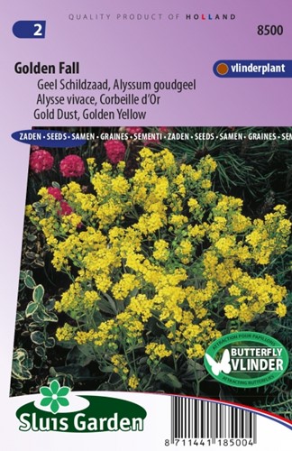 Alyssum Golden Fall Geel Schildzaad