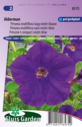 Petunia Multiflora Alderman