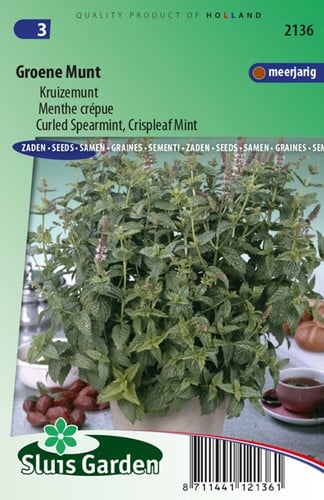 Kruizemunt (Mentha spicata crispa)
