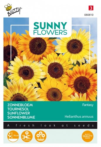 Lage Zonnebloemen Fantasy - Sunny Flowers