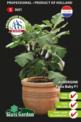 Aubergine Patio Baby F1 - Solanum melongena