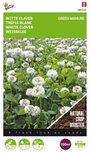 Groenbemester Witte Klaver / 100 gr - 100 m2