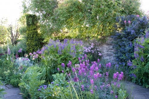 Romantic Purple border (met rood / oranje accenten)