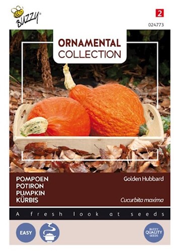Pompoen Golden Hubbard - Ornamental Collection