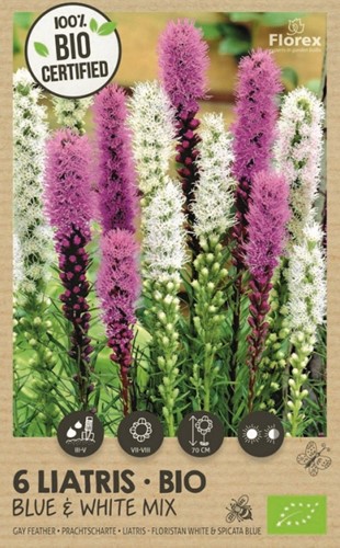 Liatris blue & white mix - Lampenpoetser 100% BIO