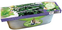 Zinken Teil Groene Munt