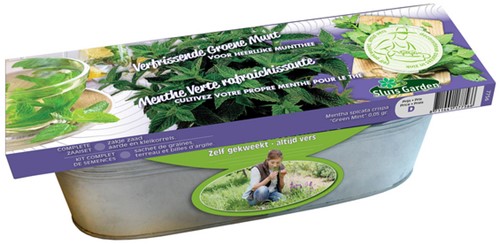 Zinken Teil Groene Munt