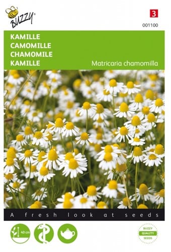 Kamille - Matricaria chamomilla Buzzy