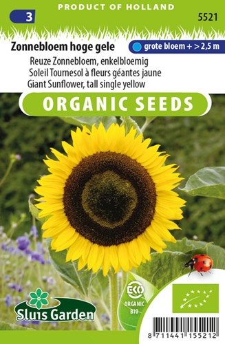 Zonnebloem Hoge gele EKO