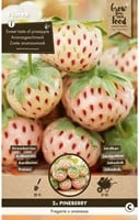 Aardbei White Pineberry - Fragaria-2