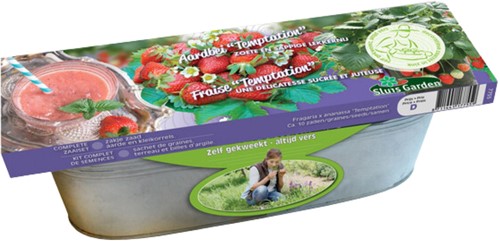 Zinken Teil Aardbei Temptation - Fragaria