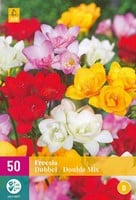 Freesia Dubbel Mix-2