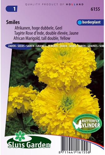 Afrikaan Smiles - Tagetes