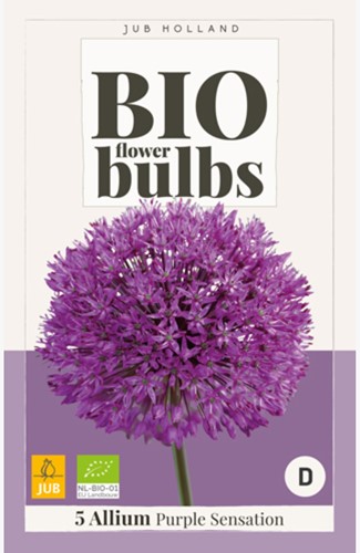 Allium Purple Sensation - Bio Flower Bulbs