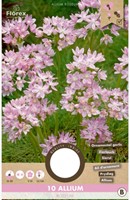 Allium roseum - Sierui-2