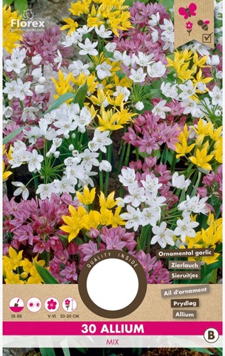 Alliums Mix - Sierui