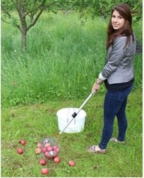 Appelraper op telesteel 120 cm