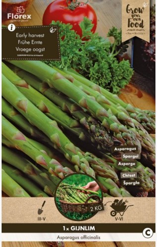 Groene Asperge Gijnlim - Asparagus