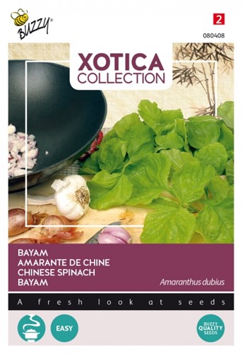 Bayam of Klaroen - Xotica Collection