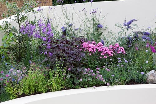 Tuinborder Vlinder en Bijen Modeste Herwig