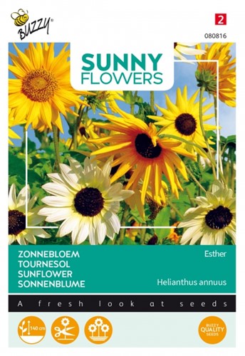 Zonnebloemen Esther - Sunny Flowers