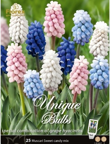 Blauwe Druifjes Sweet Candy Mix - Muscari
