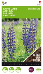 Groenbemester Lupine / 100gr - 10 m2