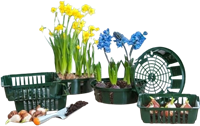 Bollenplantmand 26 cm - Nature-2