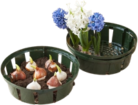 Bollenplantmand 26 cm - Nature