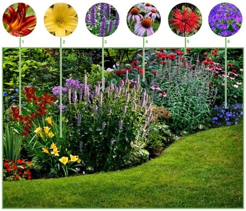 Borderpakket Langbloeiende border (12 planten: 2m2)