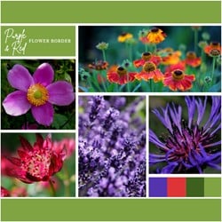 Borderpakket Paars en Rood (9 planten: 1,5 m²)