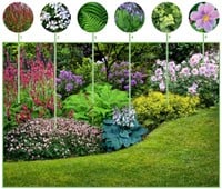 Borderpakket Schaduwtuin (6 planten)