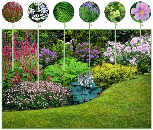 Borderpakket Schaduwtuin (6 planten)