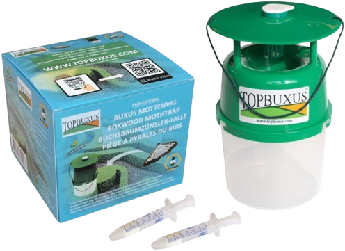 Buxus Mottenval - Topbuxus