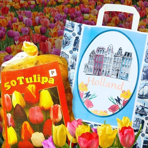 Delfts Blauw cadeautas met mix van 50 Darwin tulpen  - direct leverbaar!