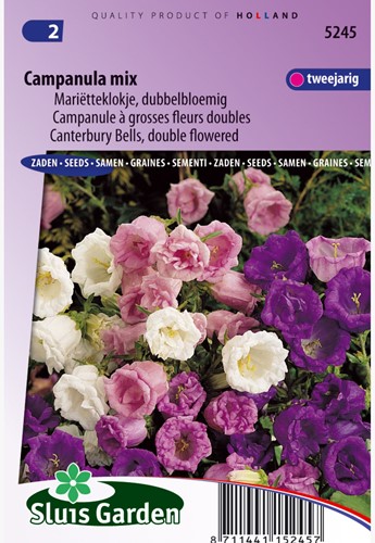Klokjesbloem dubbelbloemig gemengd - Campanula mix
