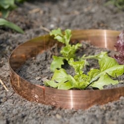 Slakkenring Koper - Klein 35cm / 5cm