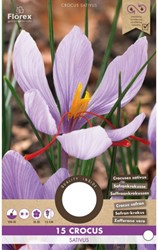 Saffraan krokus - Crocus sativus