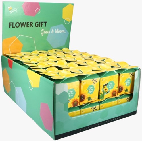 Buzzy Flower Gift (48x) Zonnebloem Helianthus (Display 48x)